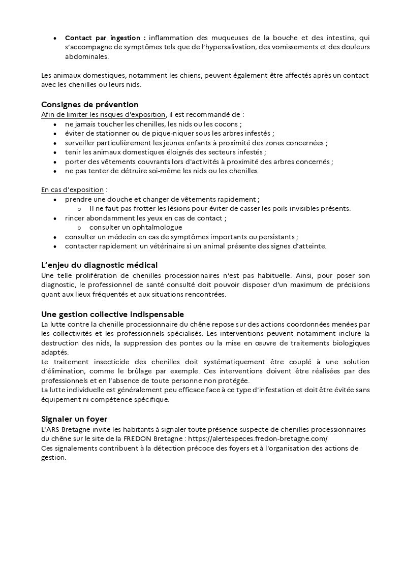 Chenilles processionnaires 2