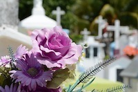 Cimetière 200px