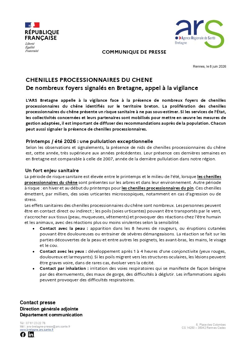 Chenilles processionnaires