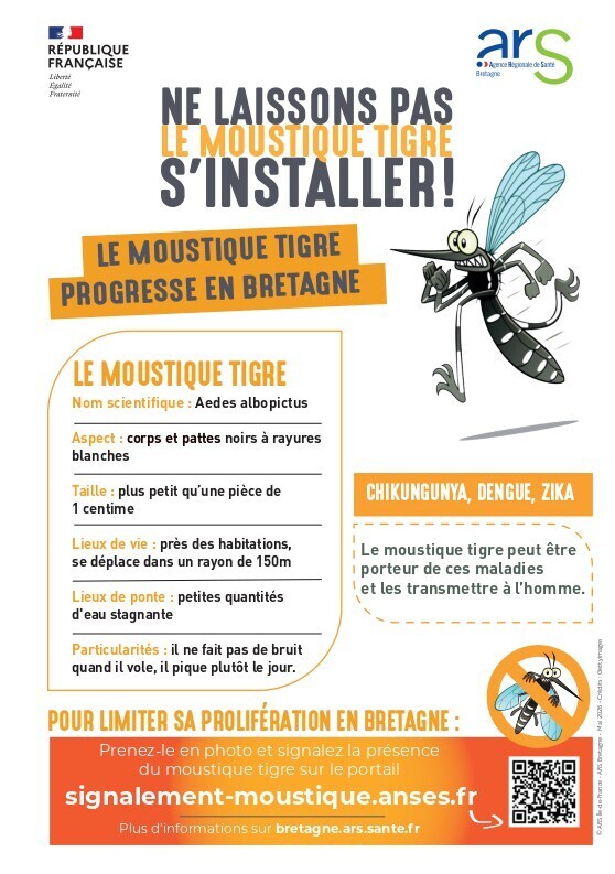 Moustique tigre